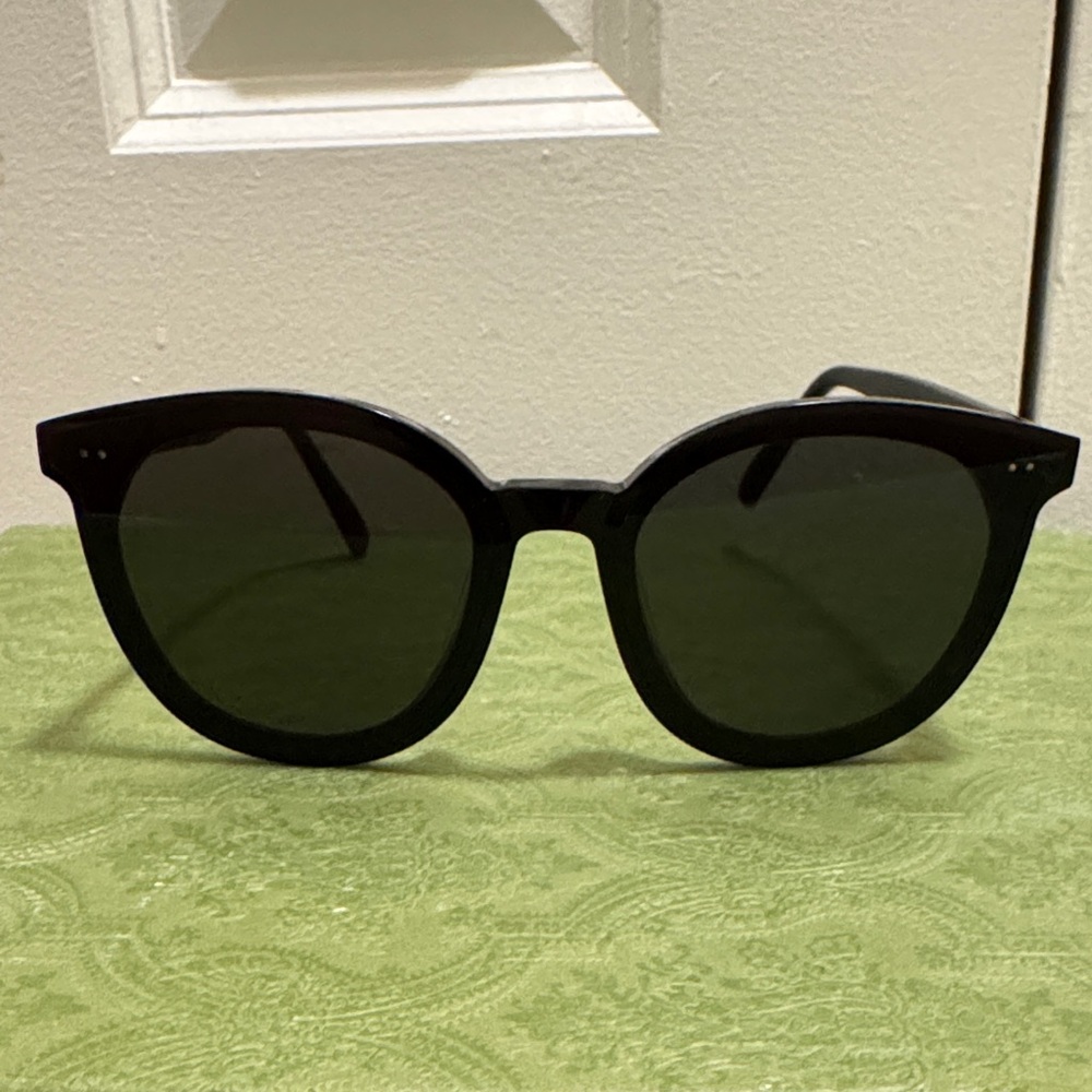 Gentle monster Classic Black Sunglasses